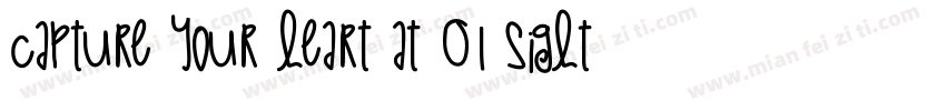 Capture your heart at 01 sight字体转换